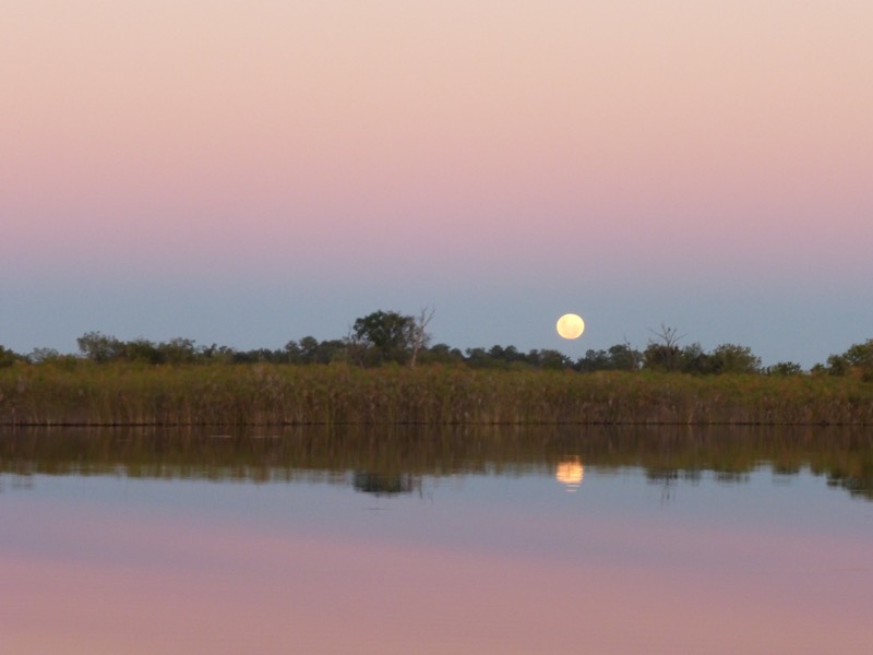 tramonto okavango botswana